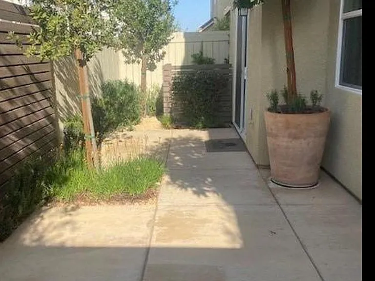 Back yard
