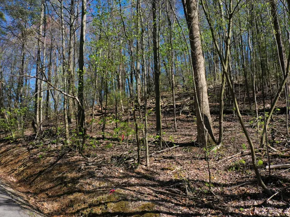 LOT 804 Rhododendron Ln, Sevierville, TN 37876