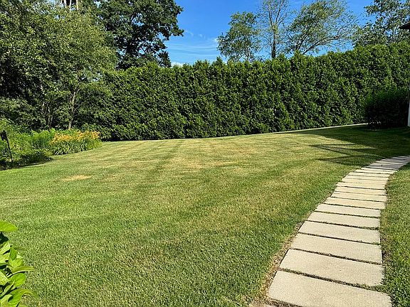 Back yard
