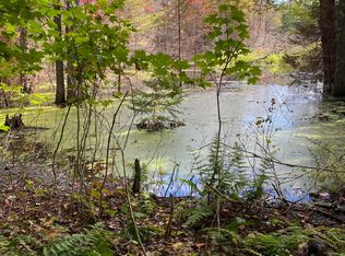 29084 County Road 455, Mc Millan, MI 49853