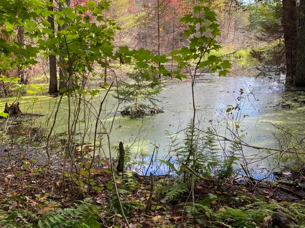 29084 County Road 455, Mc Millan, MI 49853