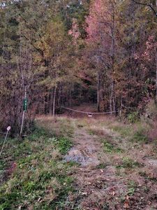 4627 Peaceful Retreat Way, Cosby, TN, 37722