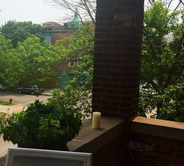 4106 N Damen Ave #3 — Photo 9