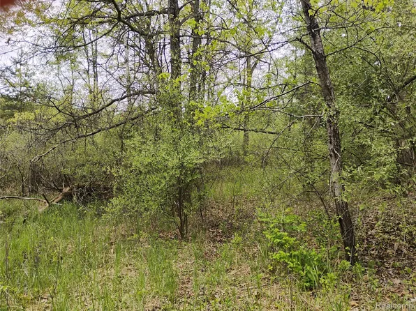 0 Middle Rd, Highland, MI 48357