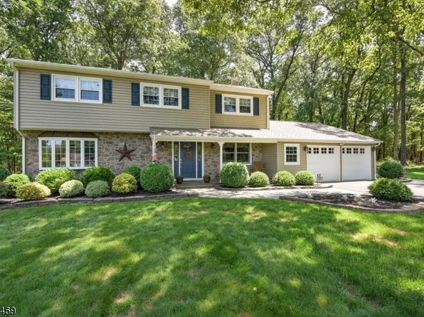 10 Demott Dr, Readington Twp., NJ 08889