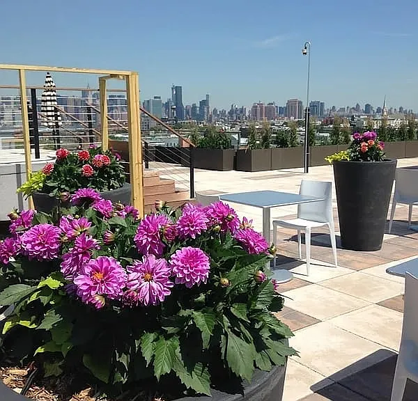 101 Bedford Ave #Penthouse D-708 — Photo 30
