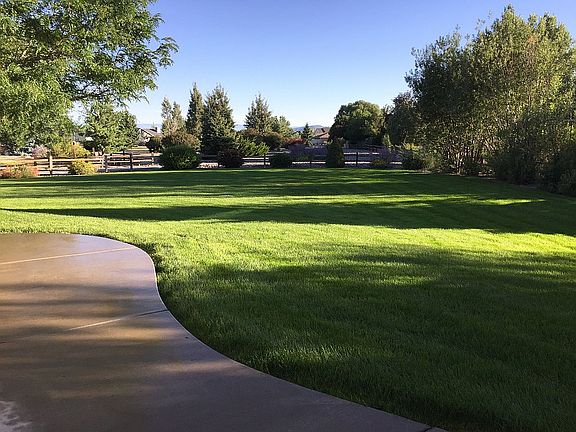Rear patio and back yard