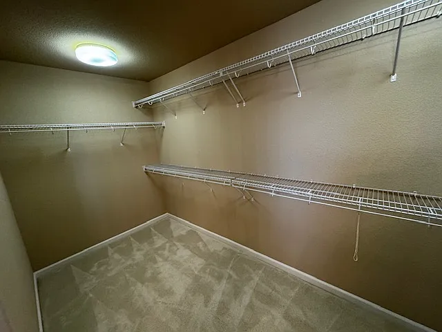 3800 Stafford Springs Way — Photo 29