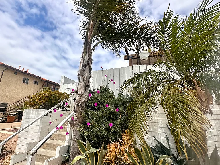 Private fenced-in entrance with a gate and beautiful coastal succulents and plants
