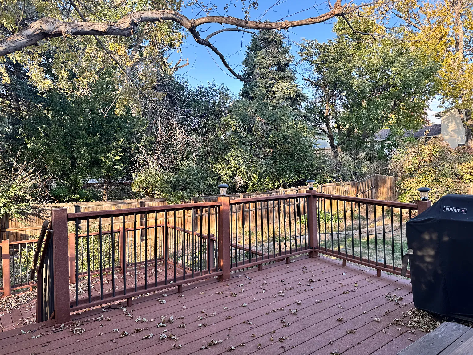 4 bed, 2002 sqft, $3,200 — Photo 3