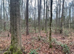 0 Johnsontown Rd, Lake, MS 39092