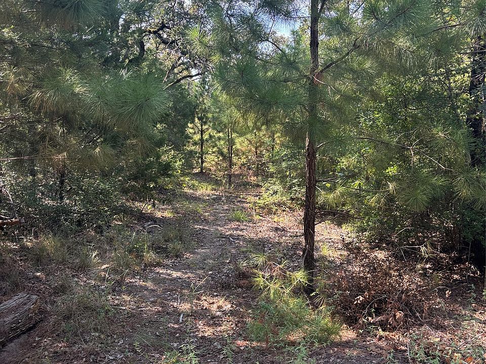 1st image of 667 Paint Creek South Rd
