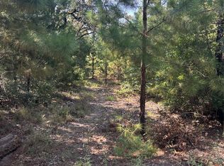 667 Paint Creek South Rd, Paige, TX 78659