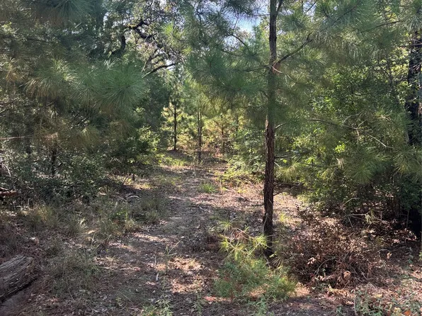 667 Paint Creek South Rd, Paige, TX 78659