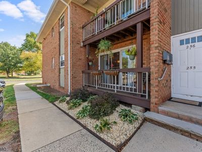528 Andria Ave Apt 255 #255, Hillsborough, NJ, 08844