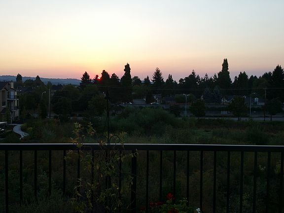 View from the patio - summer