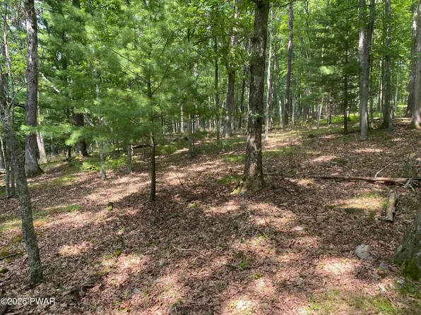 22 Ponderosa Pne, Hawley, PA 18428