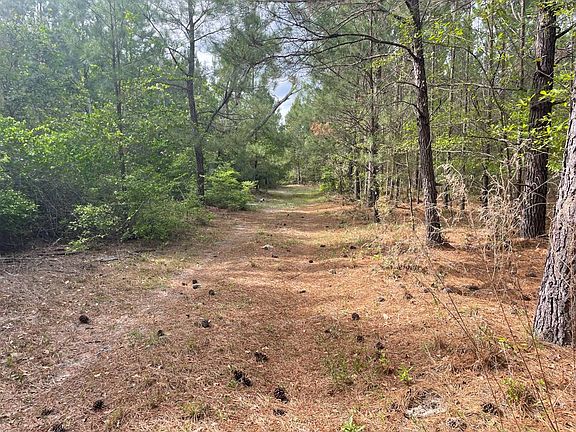 Firetower Rd PARCEL 4, Ridgeland, SC 29936 | MLS #11271835 | Zillow