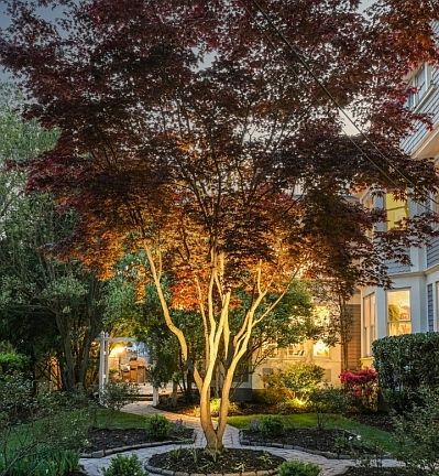 4th image of 378 Park St