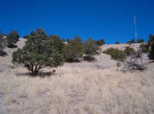 55 Colt Ln, Magdalena, NM 87825