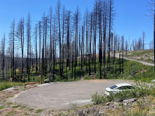 4905 Deerwood Ct, Grizzly Flats, CA 95636