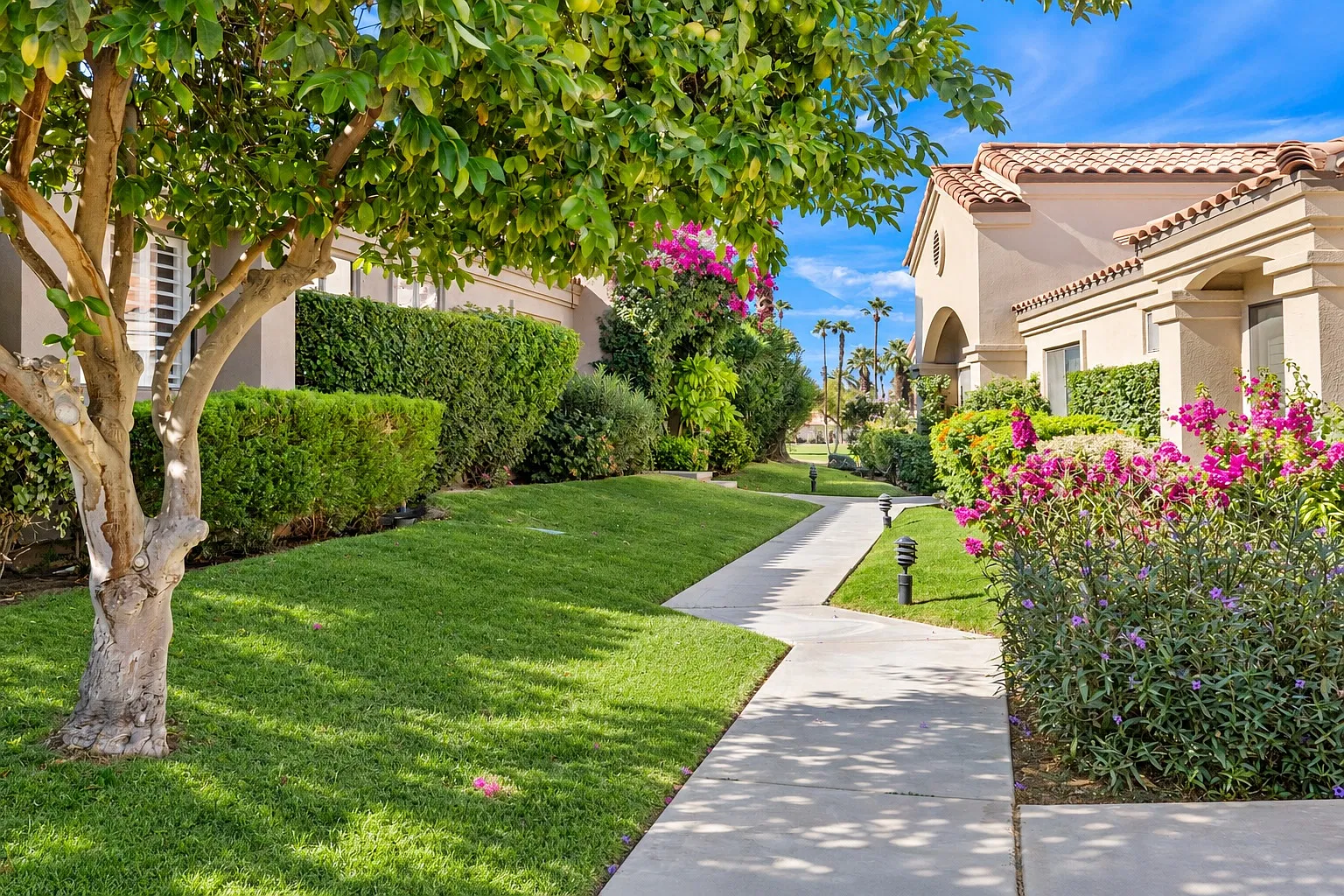3 bed, 3.5 bath, 2489 sqft, $9,500 — Photo 3