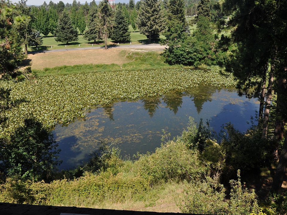 view from living room and kithen
