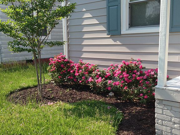 Flower Beds