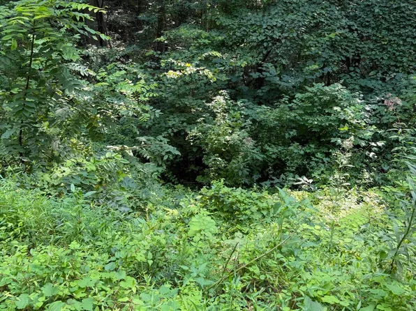 LOT 56 Butternut Ln, Sevierville, TN 37876