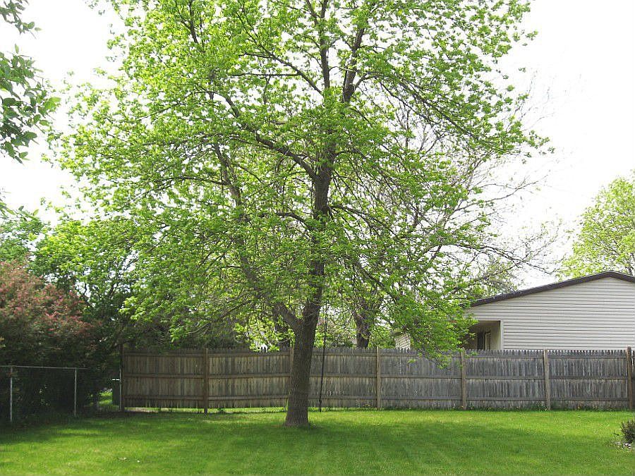Fenced Back Yard