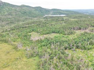 LOT Butlers Rd #B, South River, NL A0A1G0