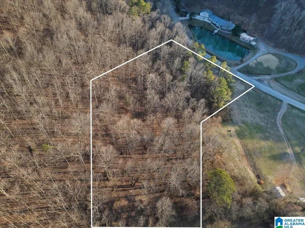 0 Rocky Hollow Rd #3.00, Blountsville, AL 35031