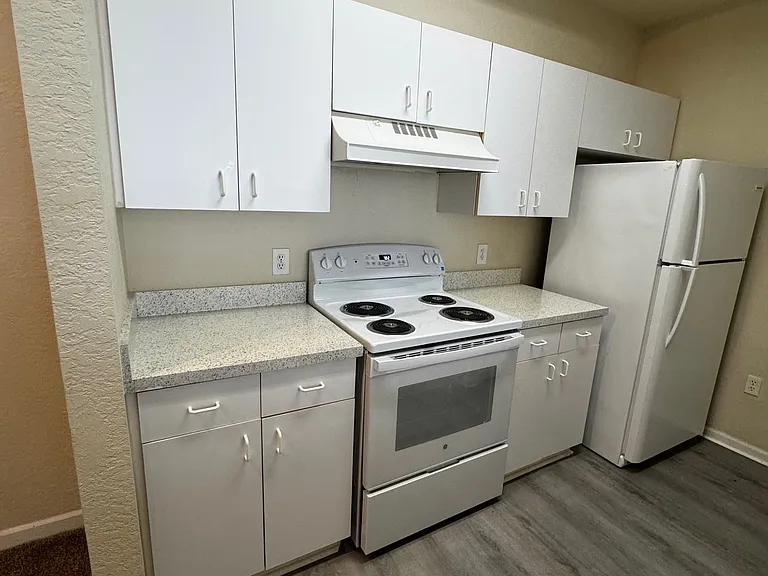 17108 Carrington Park Dr #723 — Photo 3