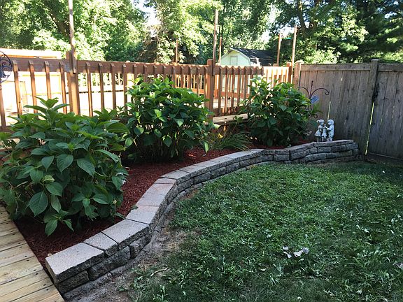 Beautiful flowering plants