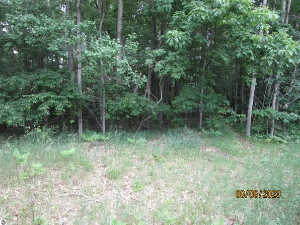 1030 Barcelona Dr, Weidman, MI 48893