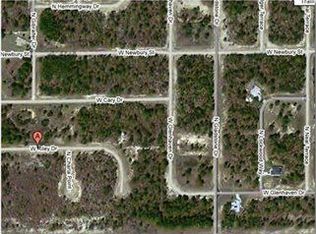 1142 W Riley Dr, Citrus Springs, FL 34434