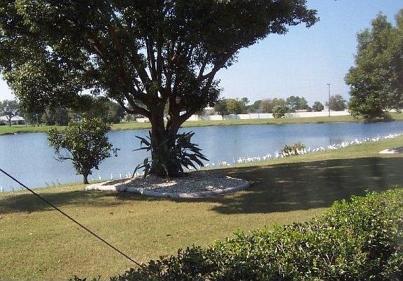 Back Pond view