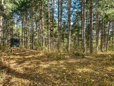 Rocky Ridge Rd, Henning, MN, 56551