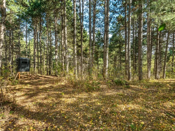 Rocky Ridge Rd, Henning, MN 56551