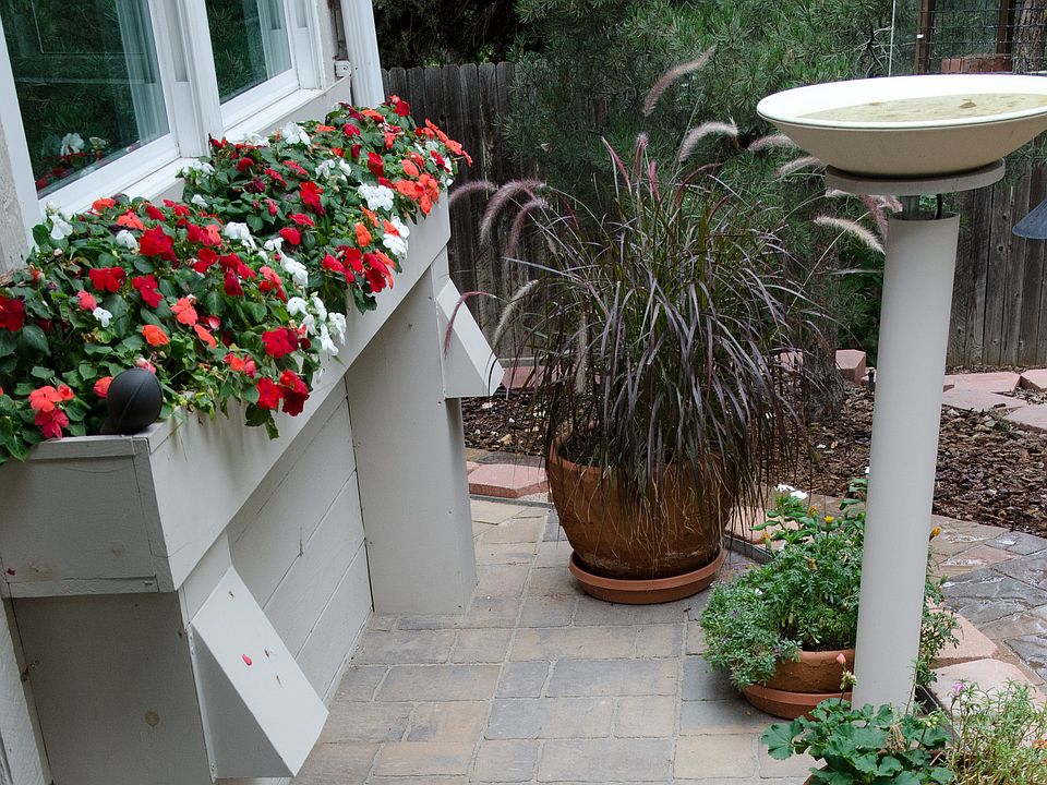 Heated bird bath included