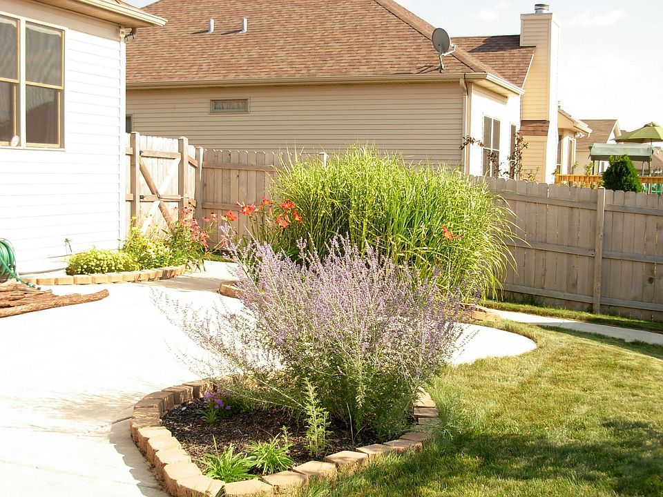 Back Landscaping