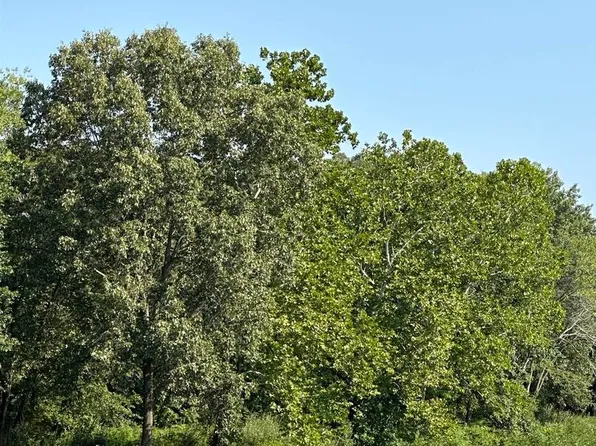 0 Petroff Rd, Benton, IL 62812