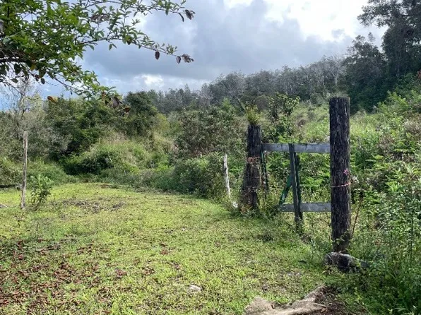 Kingsley Rd, Kealakekua, HI 96750