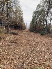 4th image of 23669 State Hwy Ee