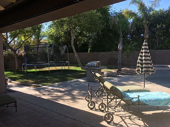 Back yard from patio