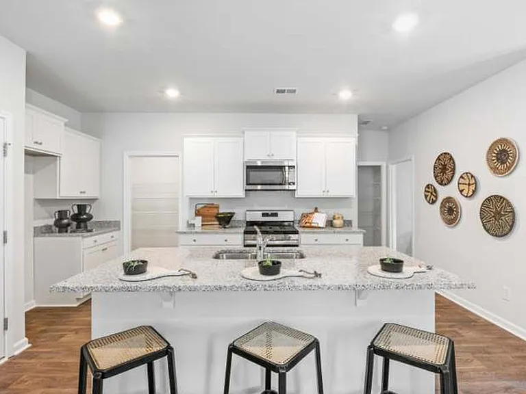 255 Sweet Cherry Ln — Photo 1