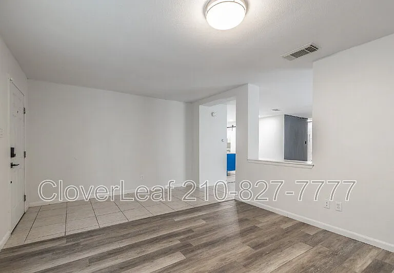 15410 Wood Sorrel — Photo 7