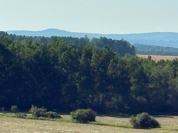 4th image of 806xx County Hwy E