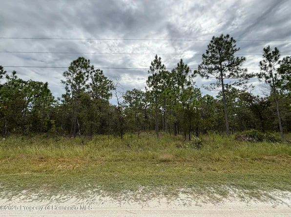 LOT 2 Jenifer Ln, Brooksville, FL 34614