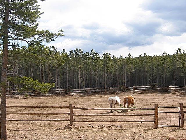 Fenced Arena